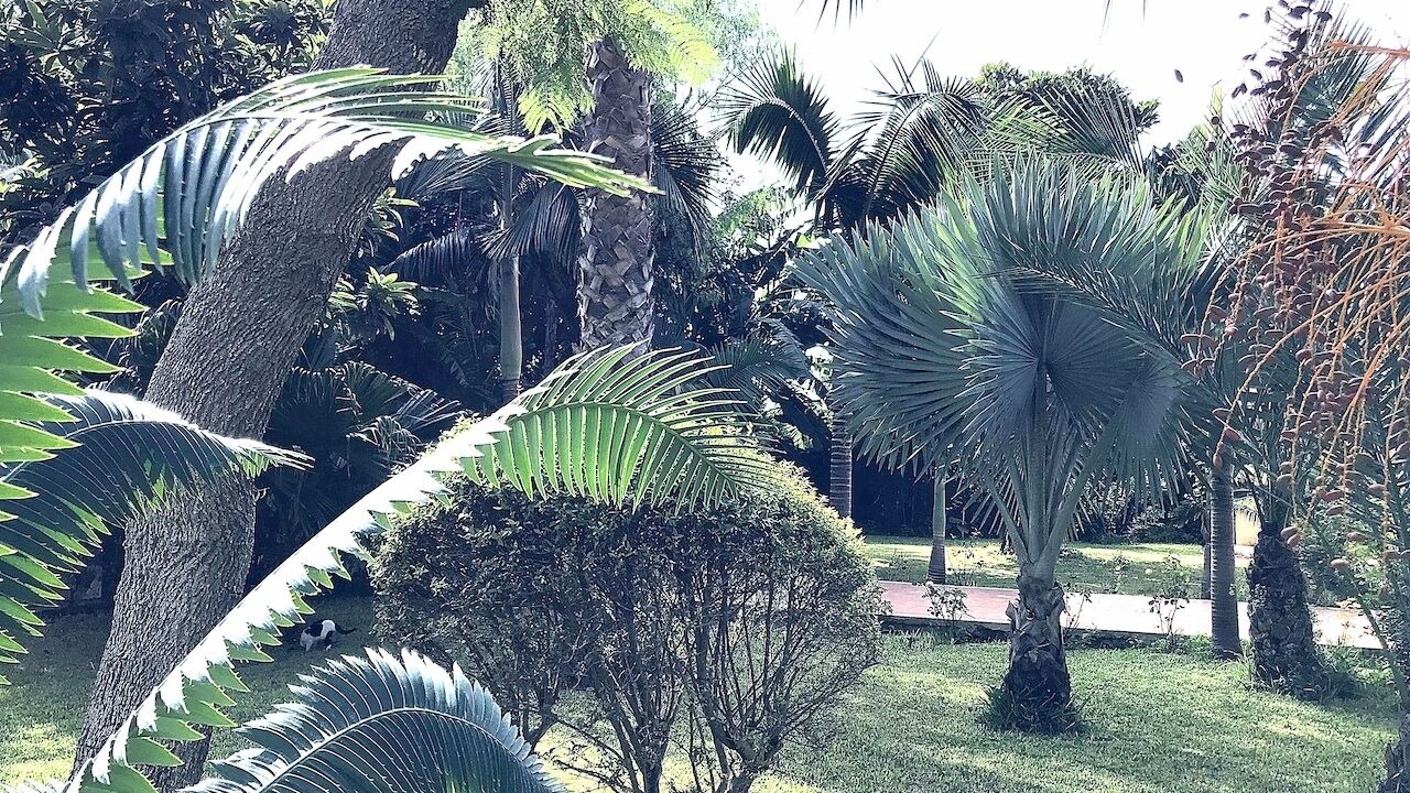 Photo of Outdoor in Marsala