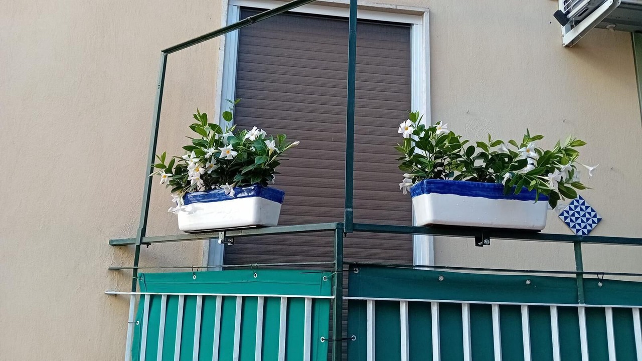 Photo of Others in Minori