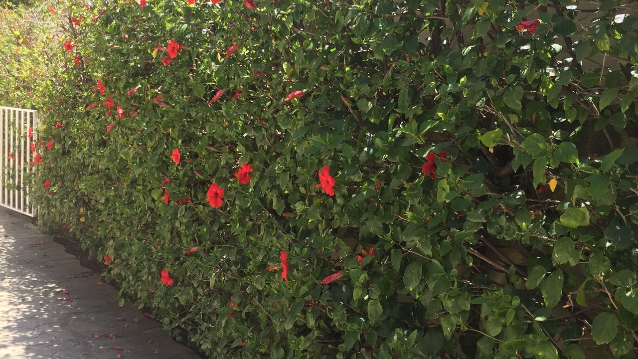 Photo of Outdoor in Mondello