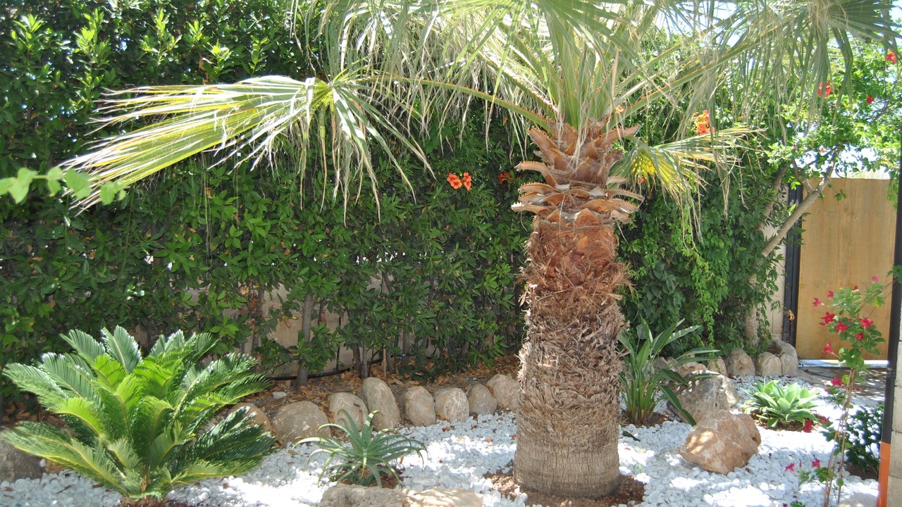 Photo of Outdoor in Santa Maria del Focallo