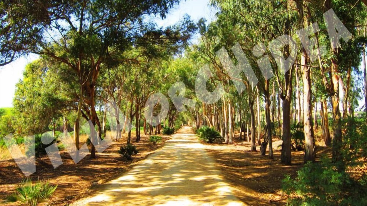 Photo of Outdoor in Borgo Bonsignore