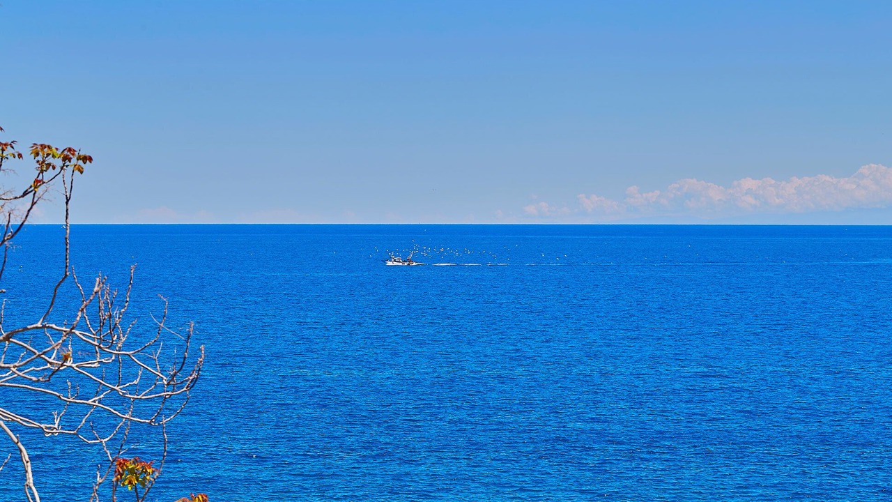 Photo of Others in Santa Flavia