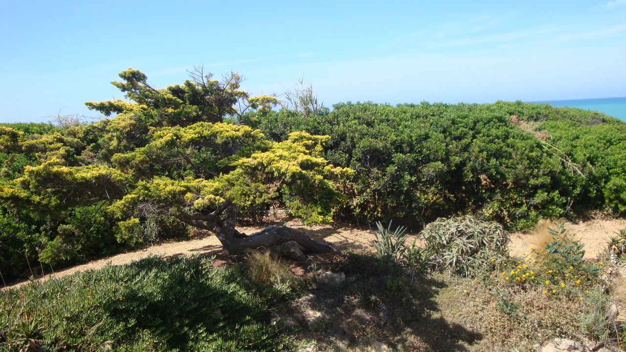 Photo of Outdoor in Punta Braccetto