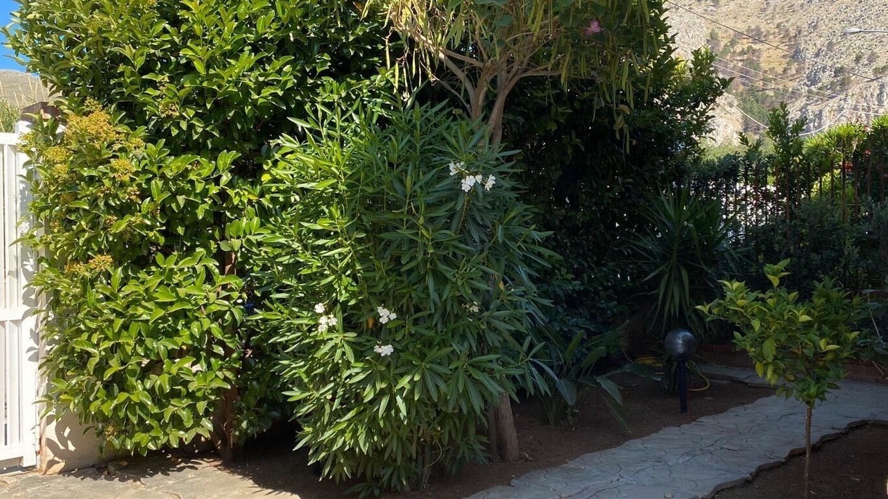 Photo of Outdoor in Mondello
