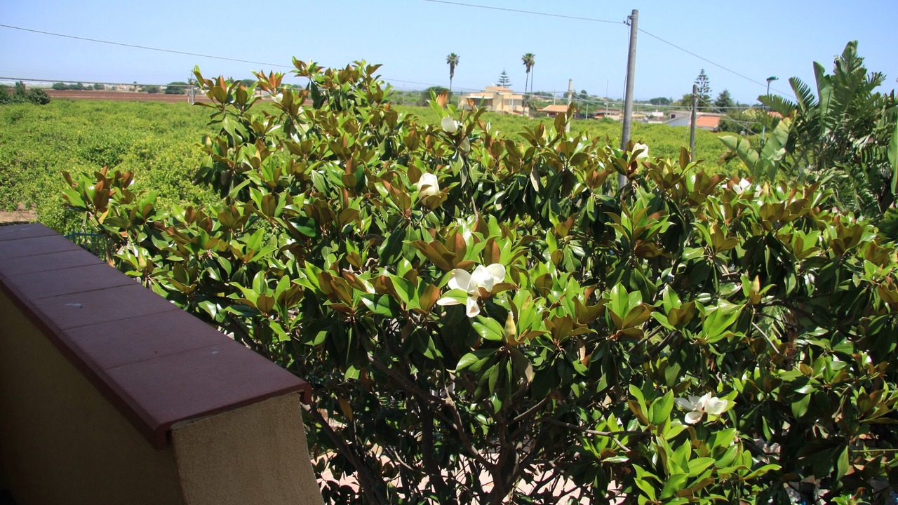 Photo of Outdoor in Fontane Bianche