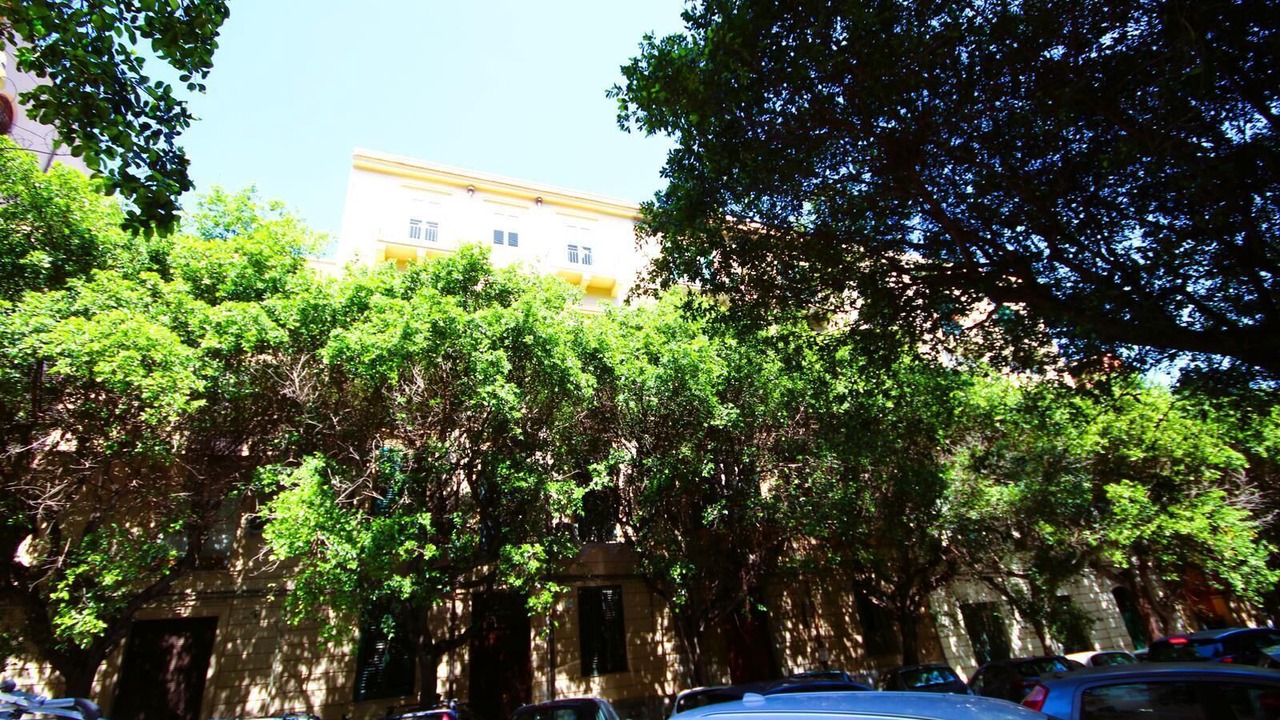 Photo of Others in Palermo