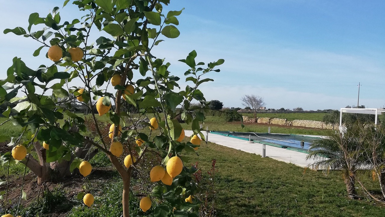 Photo of Outdoor in Rosolini