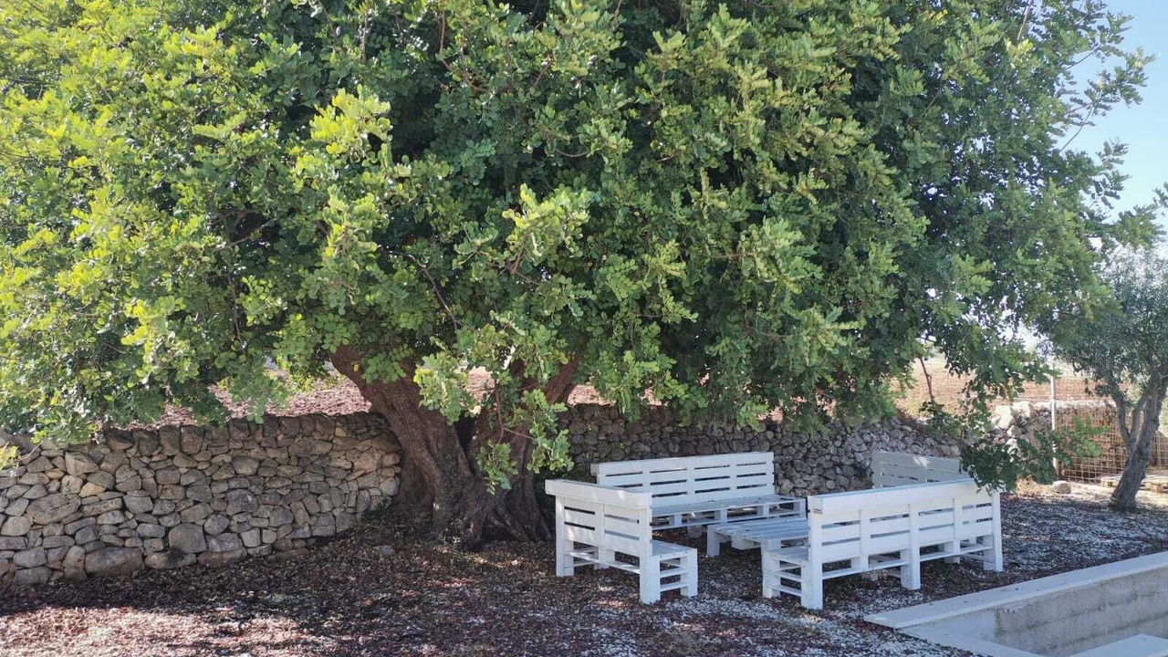 Photo of Outdoor in Rosolini