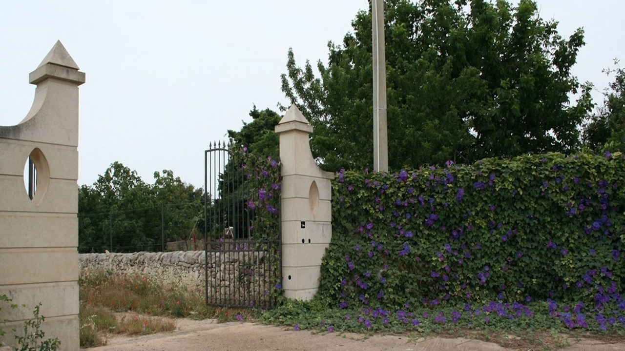 Photo of Outdoor in Rosolini