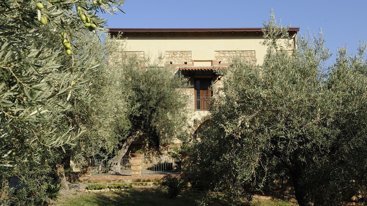 Photo of Outdoor in Sorrentini