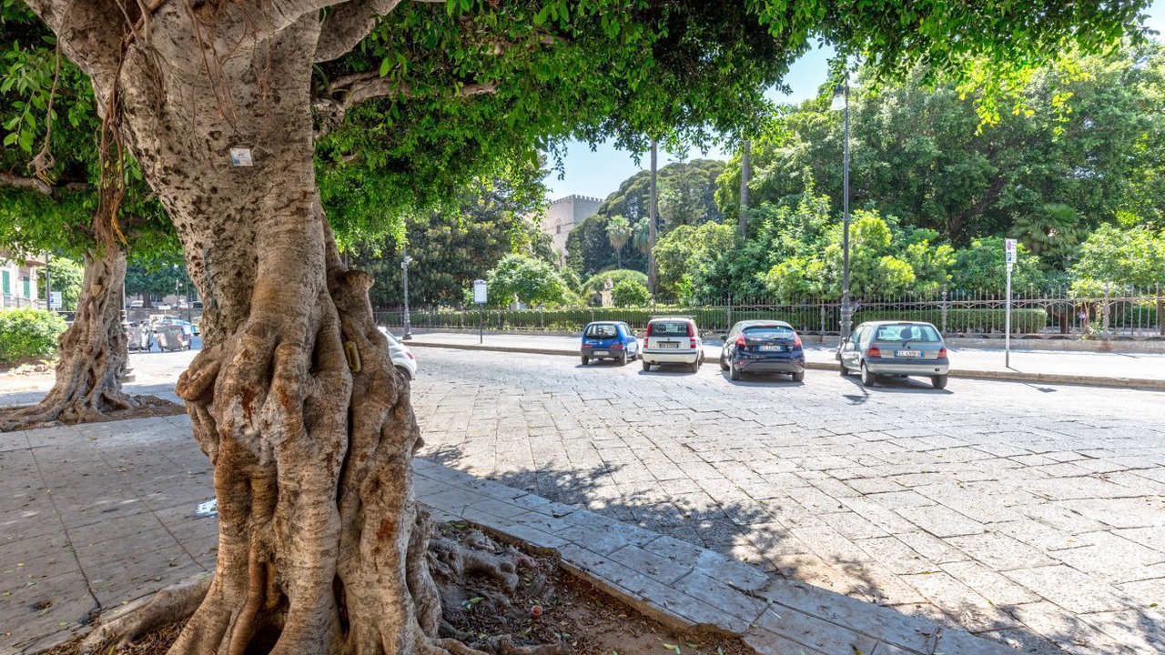 Photo of Outdoor in Kalsa