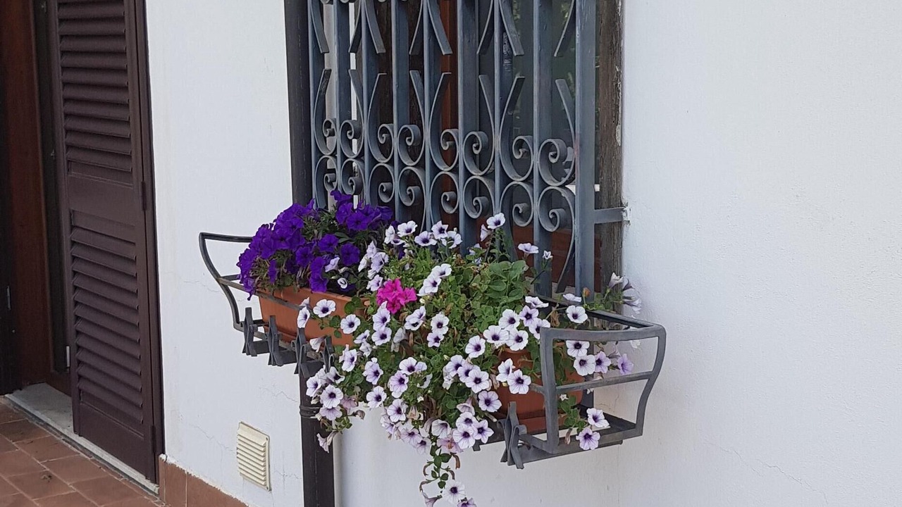 Photo of Outdoor in Nicolosi