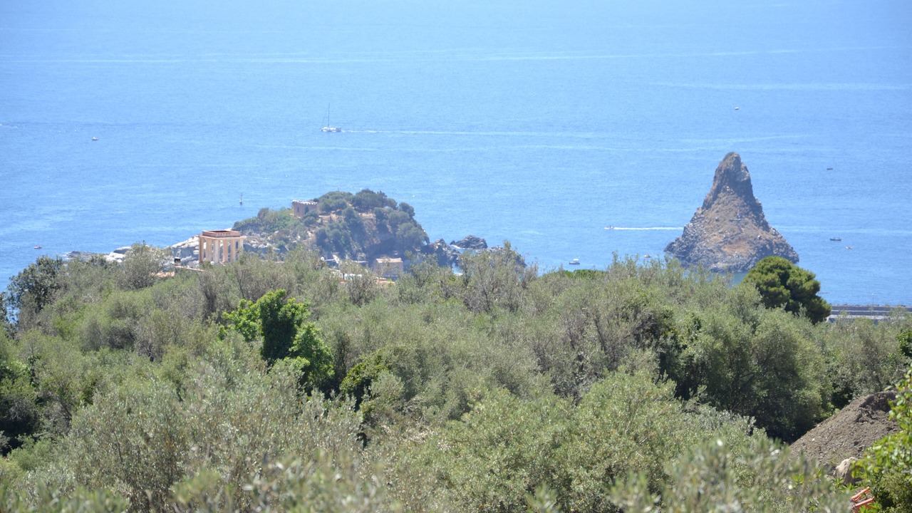 Photo of Others in Aci Catena