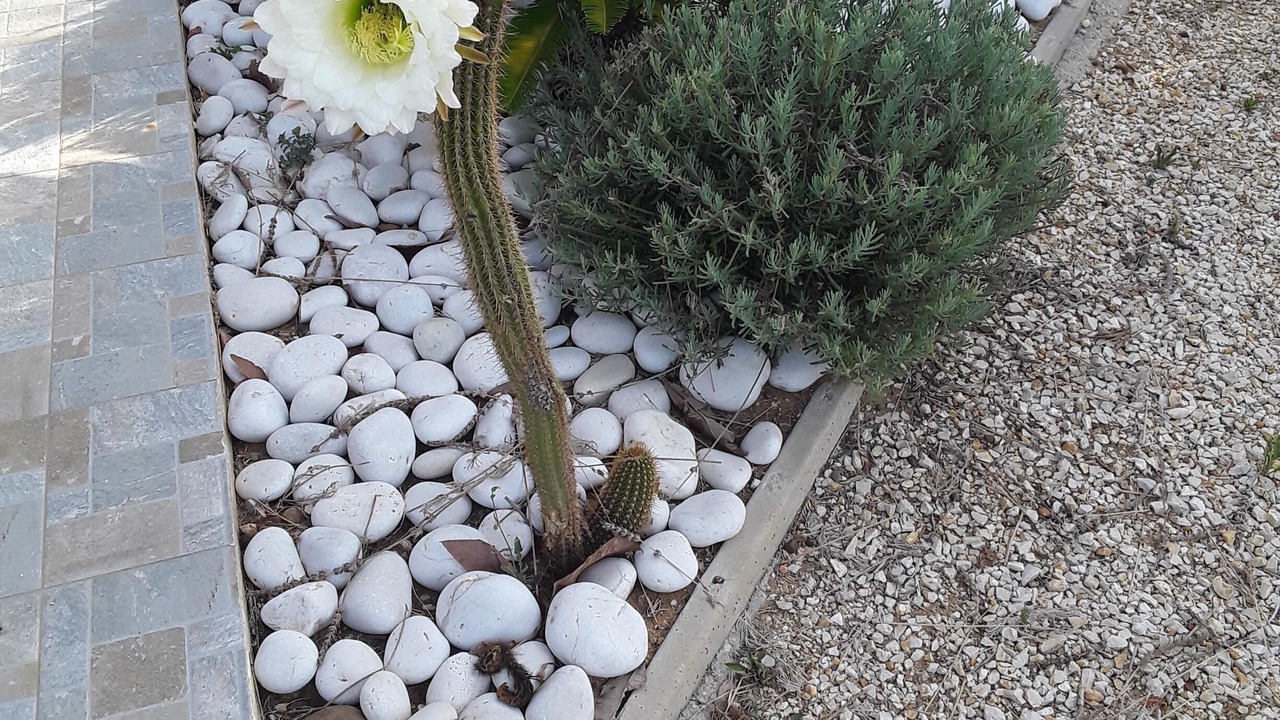 Photo of Outdoor in Menfi
