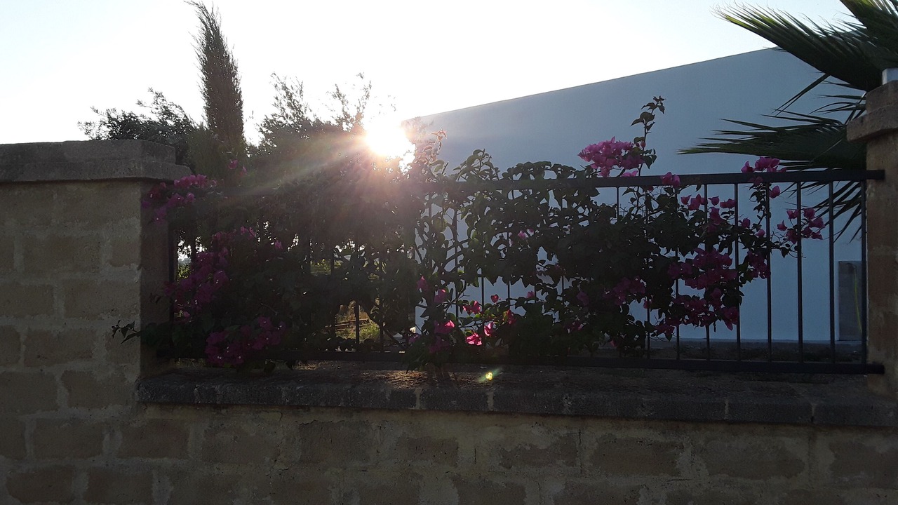 Photo of Outdoor in Menfi