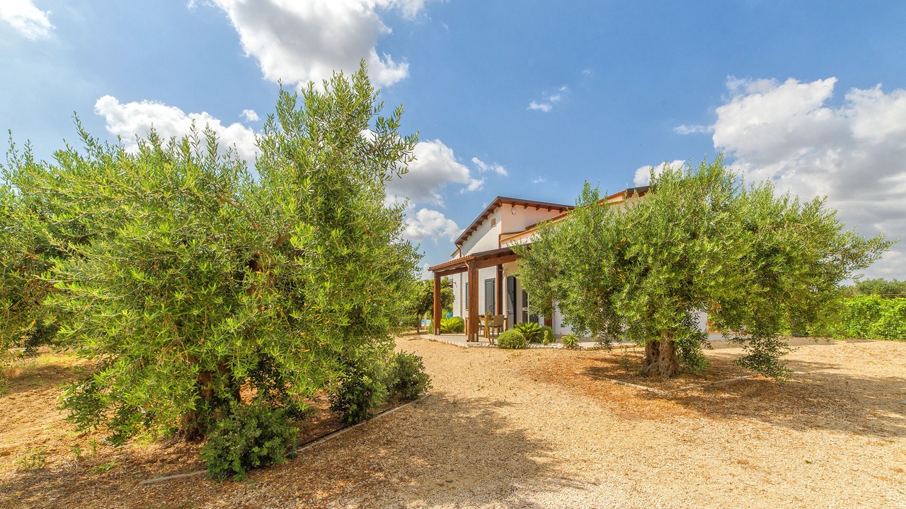 Photo of Outdoor in Menfi