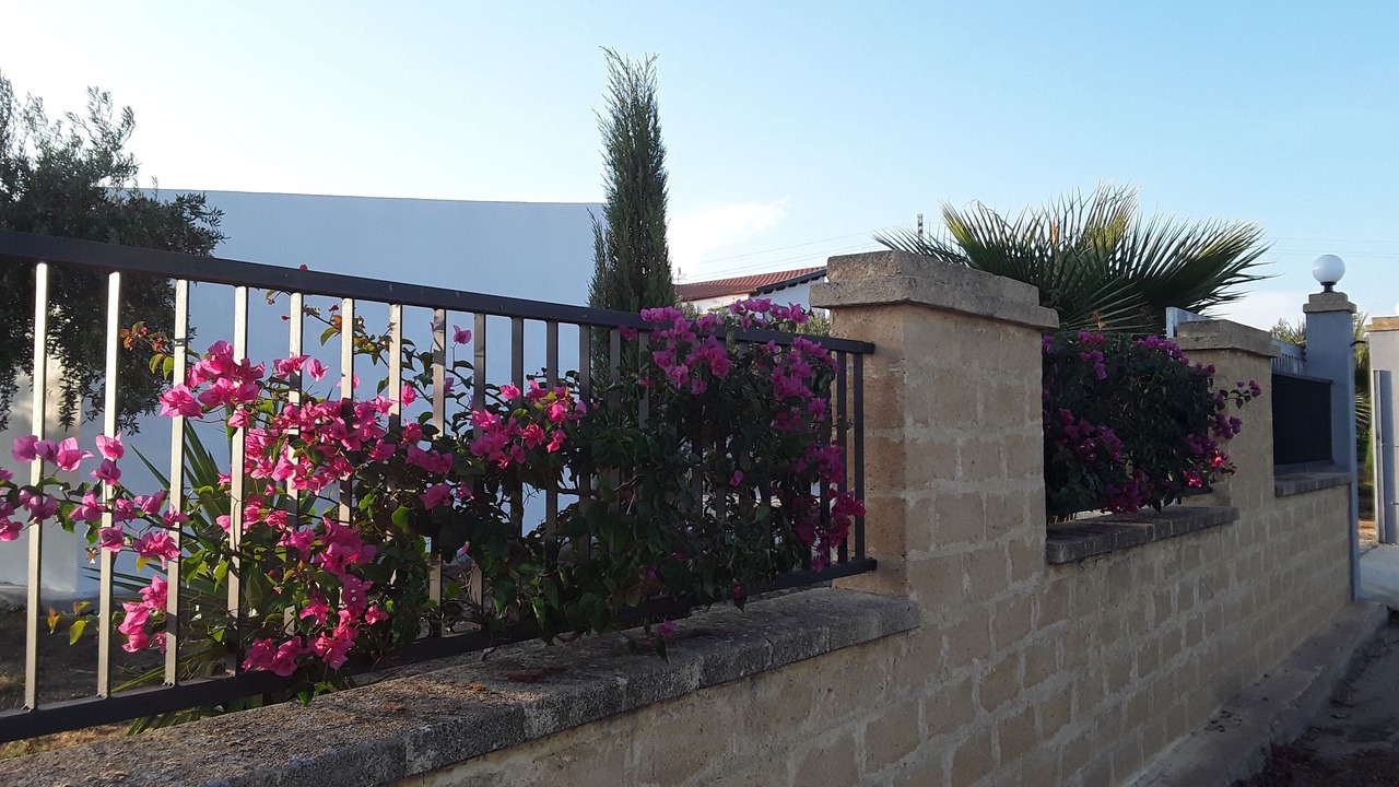 Photo of Outdoor in Menfi
