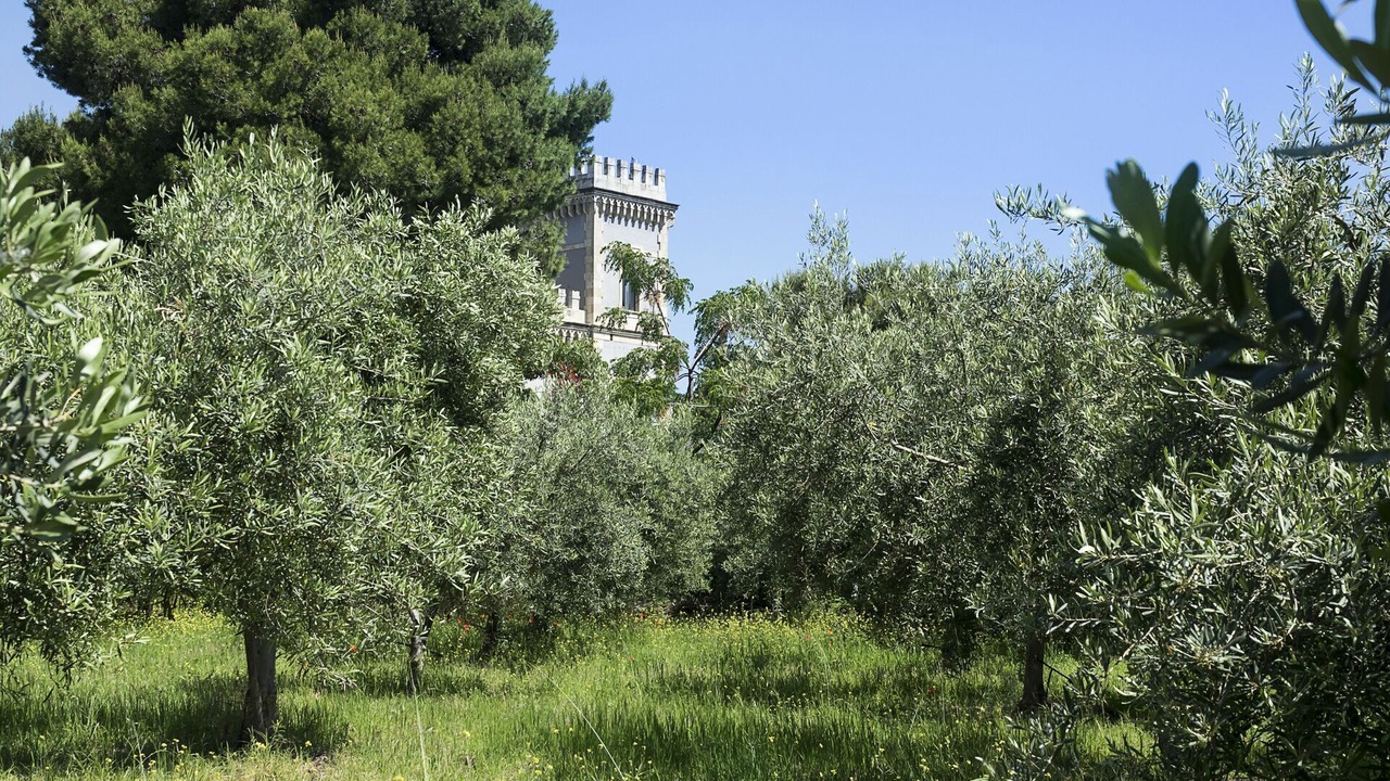 Photo of Others in Stazzo