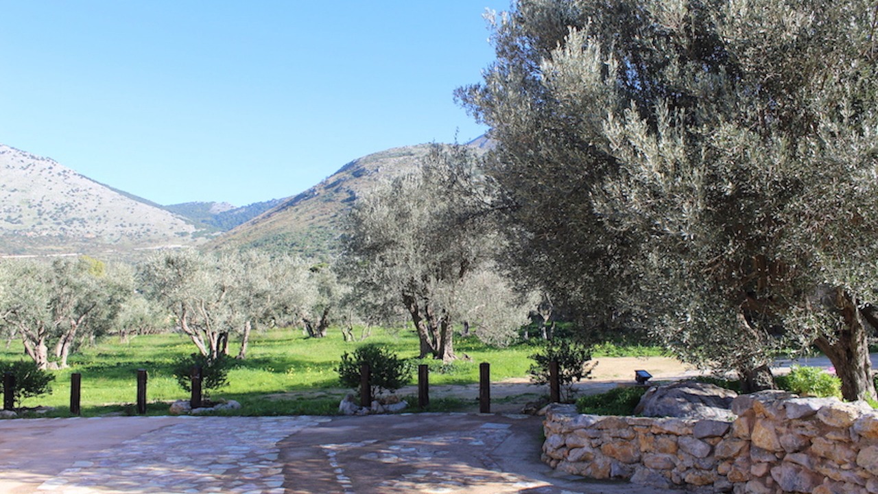 Photo of Outdoor in Torretta