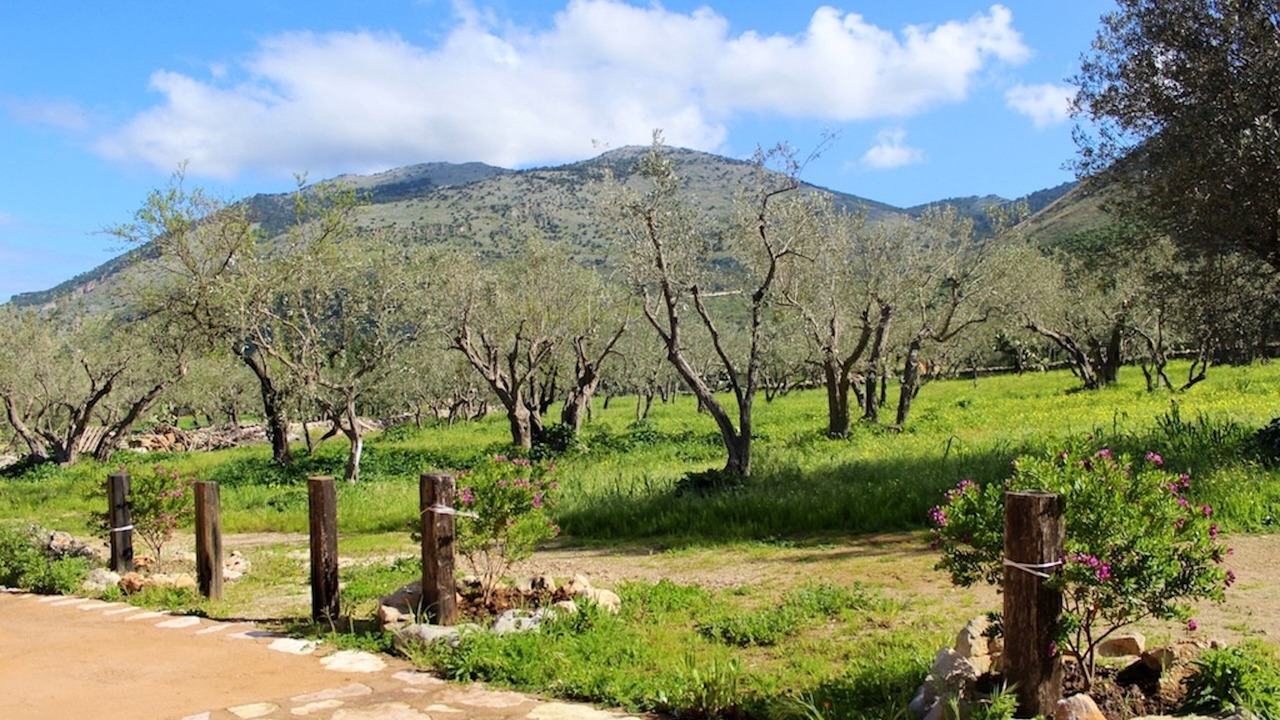 Photo of Outdoor in Torretta