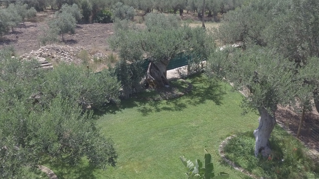 Photo of Outdoor in Sciacca