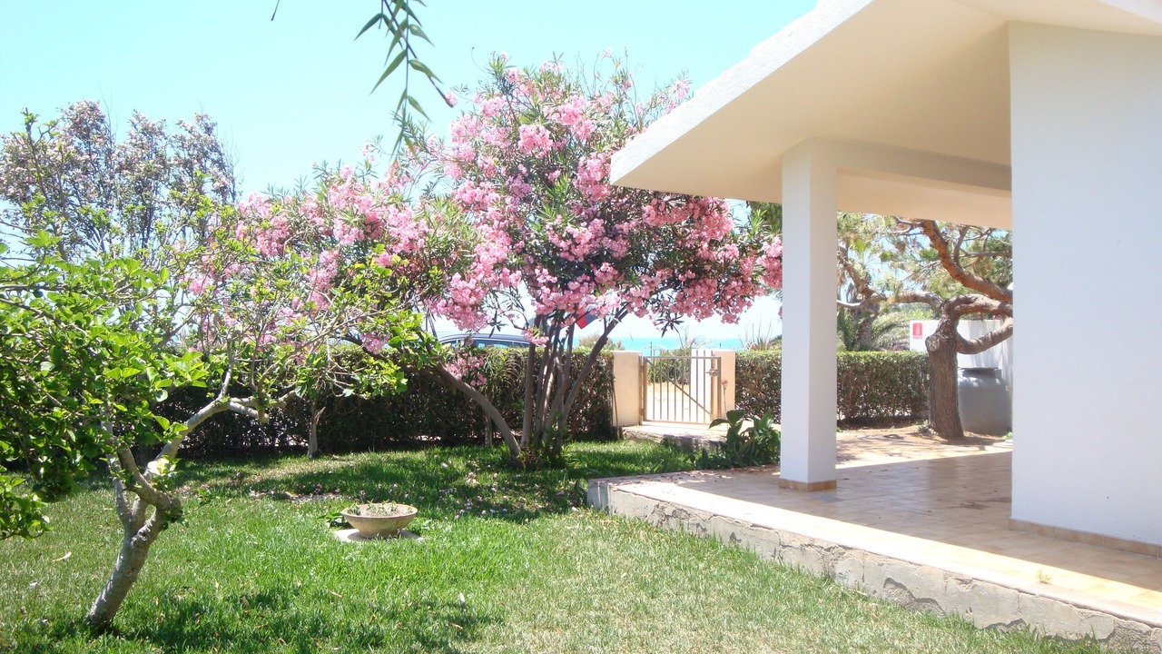 Photo of Outdoor in Punta Braccetto