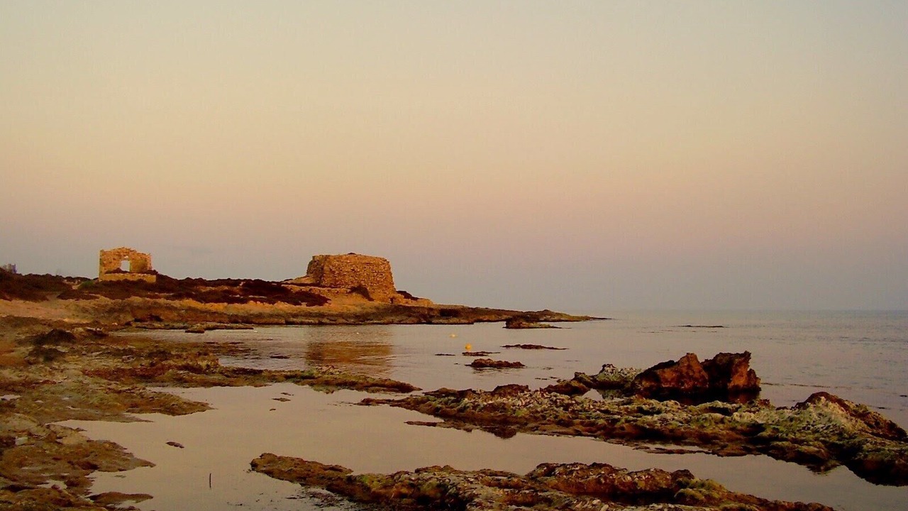 Photo of Others in Punta Braccetto