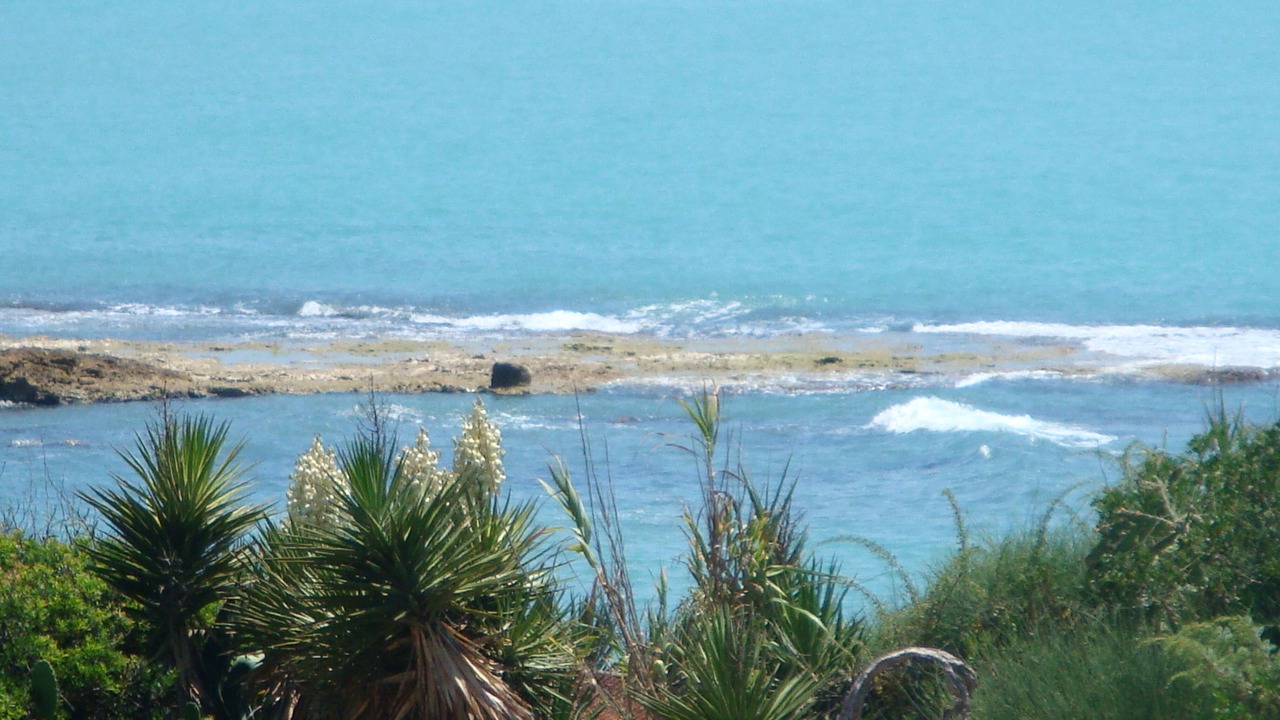 Photo of Others in Punta Braccetto
