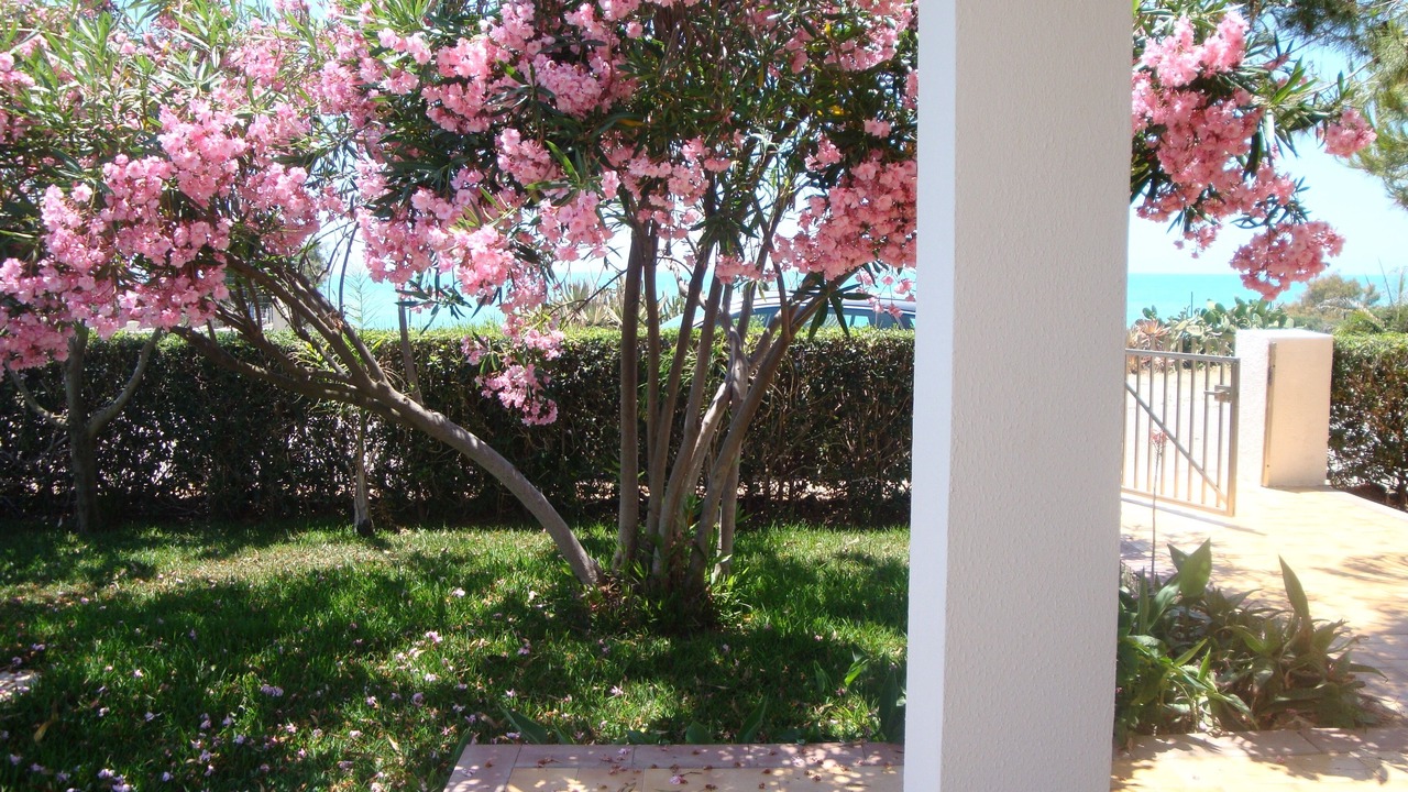 Photo of Outdoor in Punta Braccetto