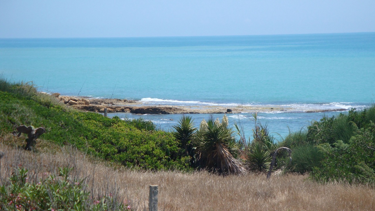 Photo of Others in Punta Braccetto