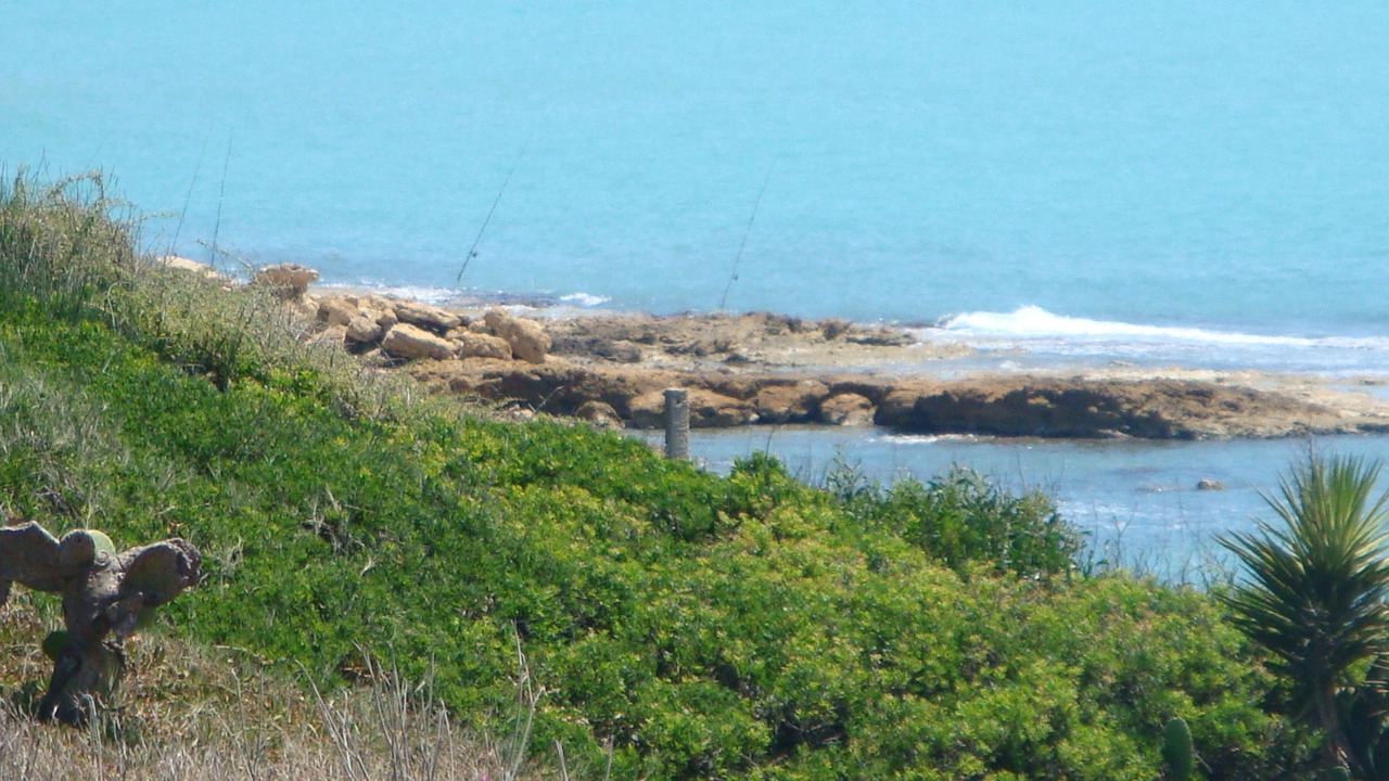 Photo of Others in Punta Braccetto