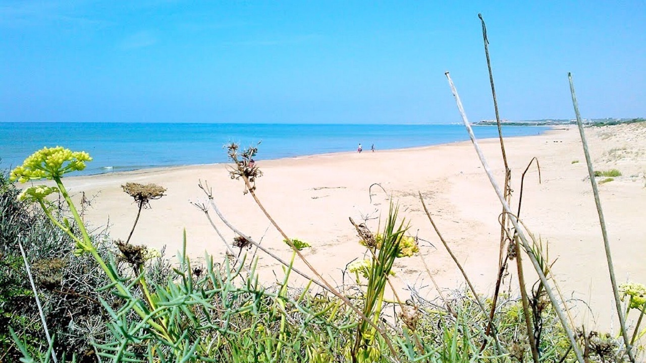 Photo of Others in Punta Braccetto