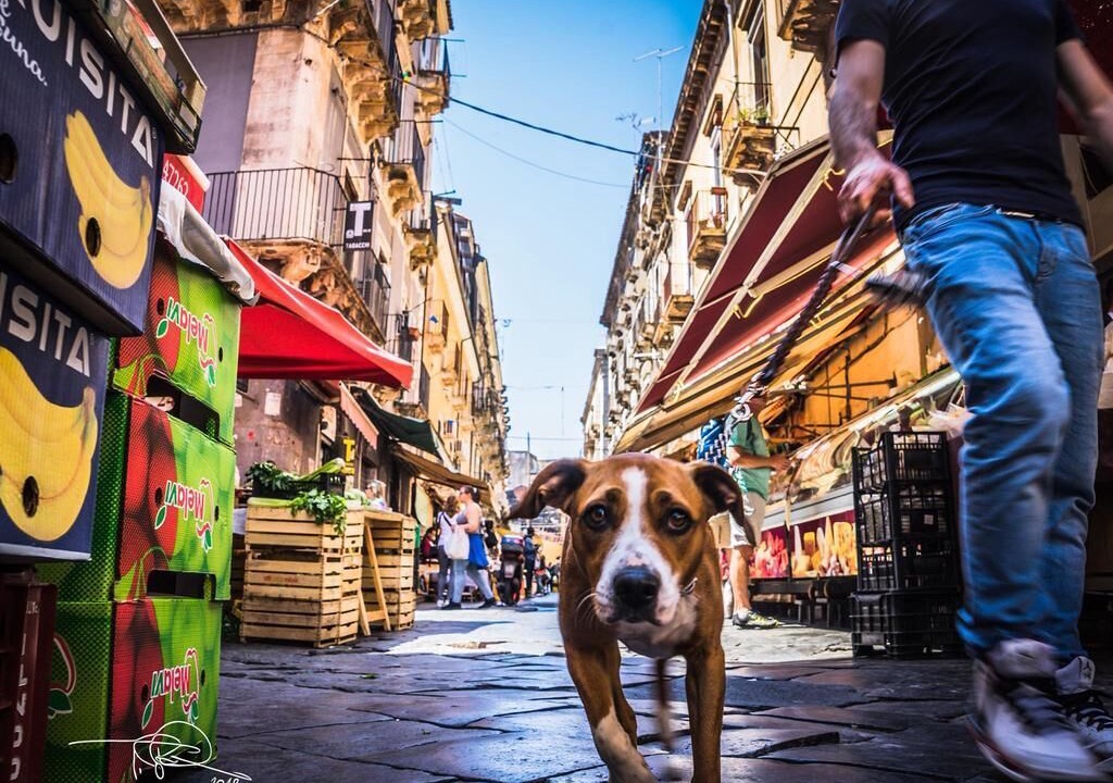 Photo of Others in Catania City Centre