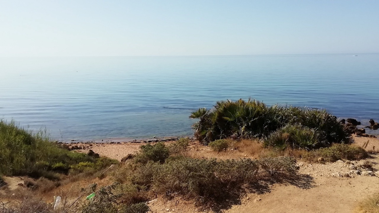 Photo of Others in Marinella di Selinunte