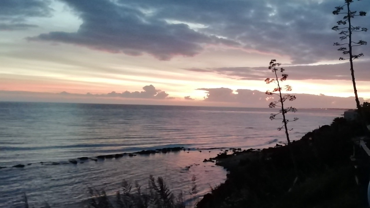 Photo of Others in Marinella di Selinunte