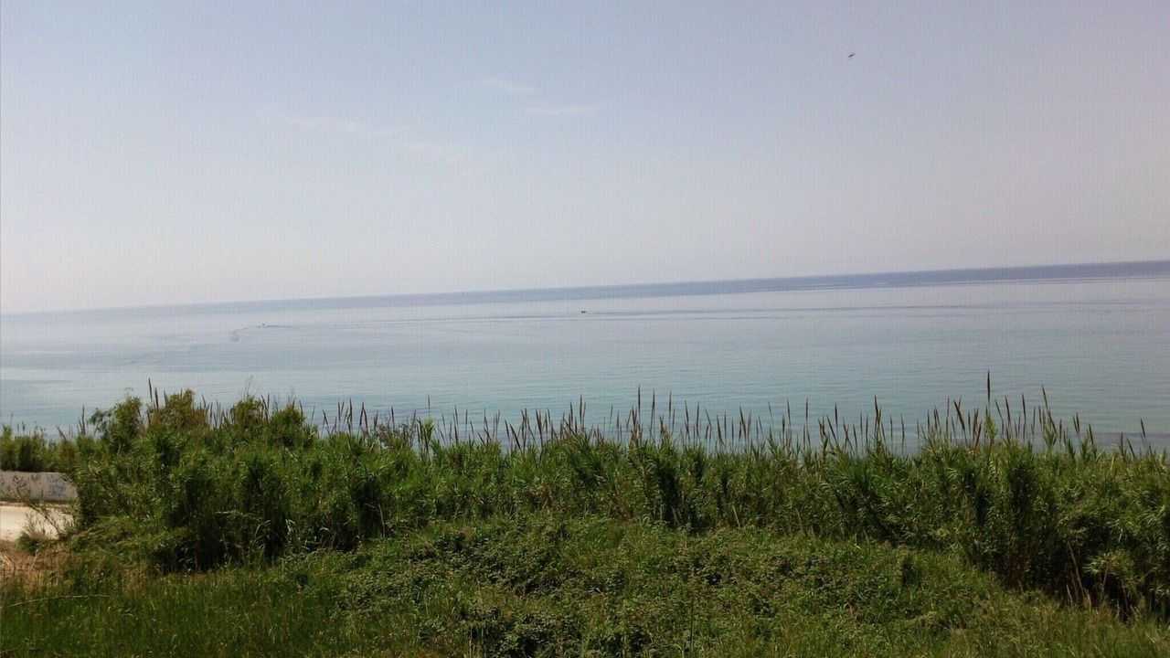 Photo of Others in Marinella di Selinunte