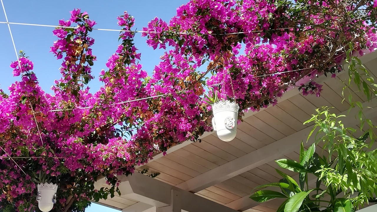 Photo of Outdoor in Casuzze