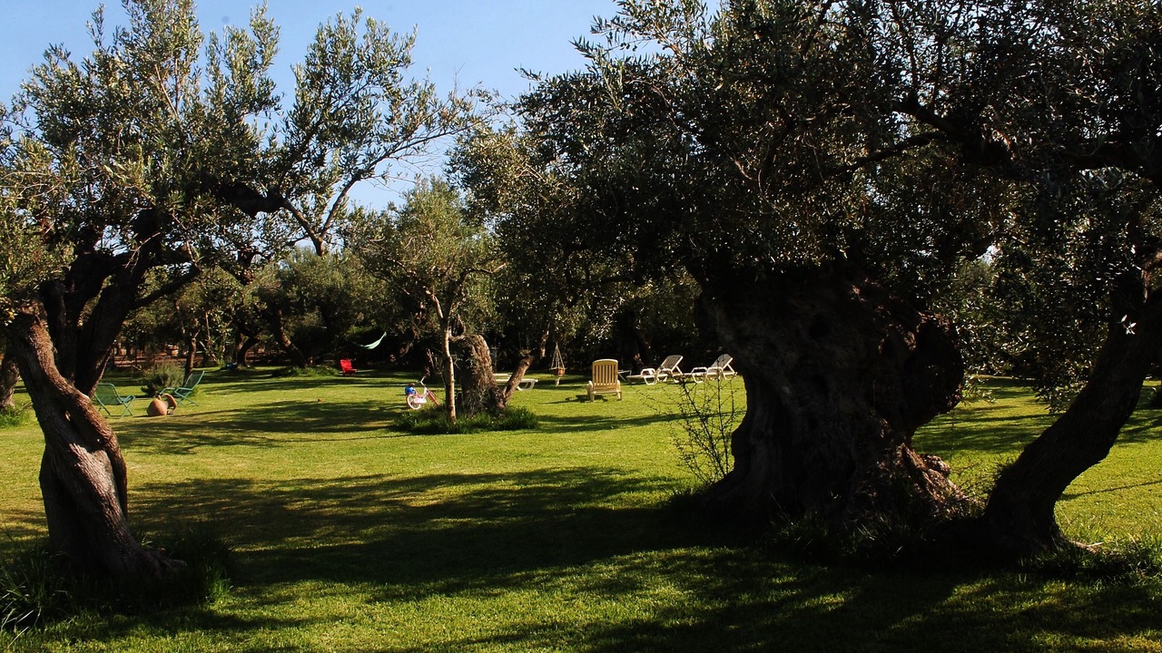 Photo of Outdoor in Sciacca