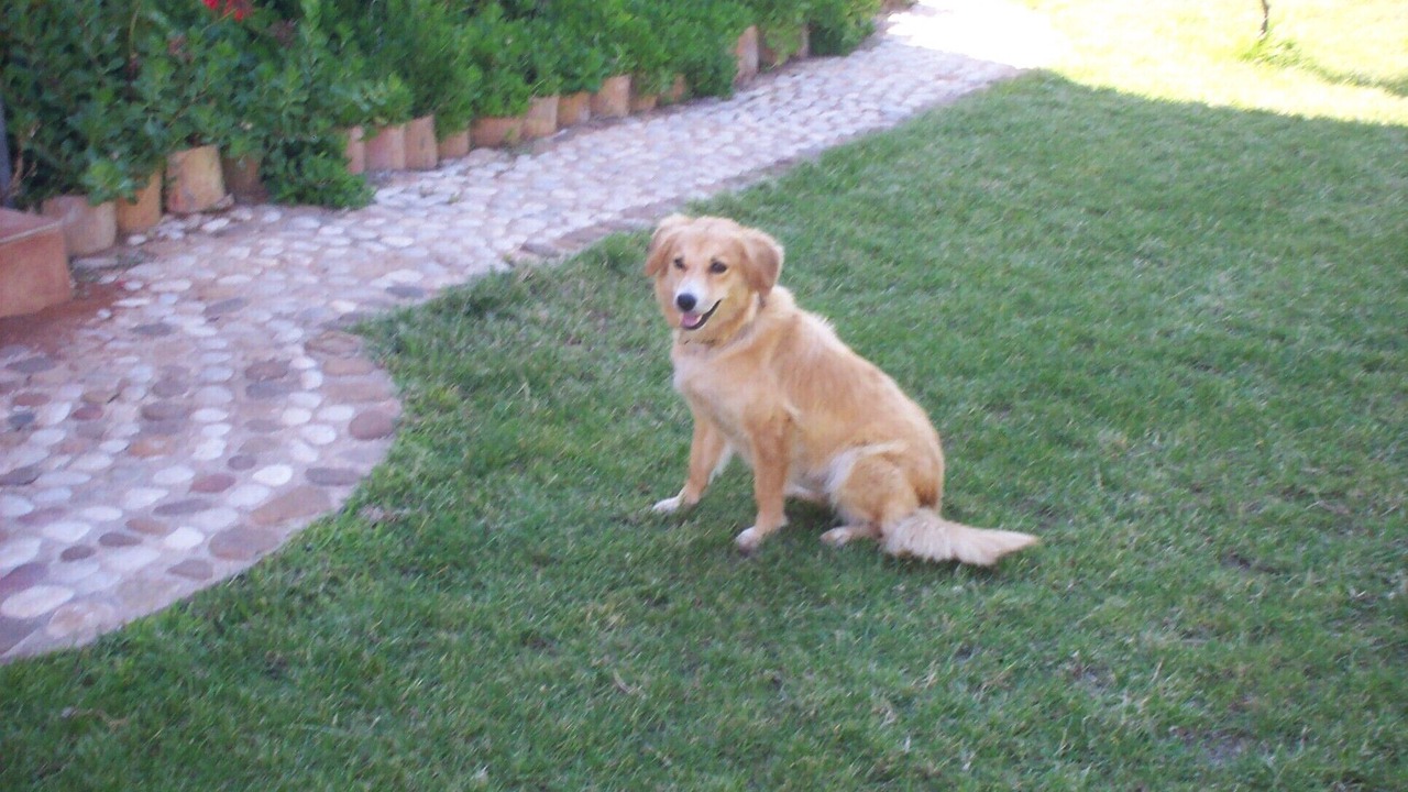 Photo of Outdoor in Balestrate
