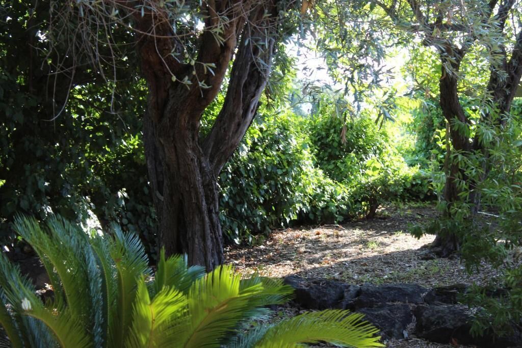 Photo of Outdoor in Aci Catena