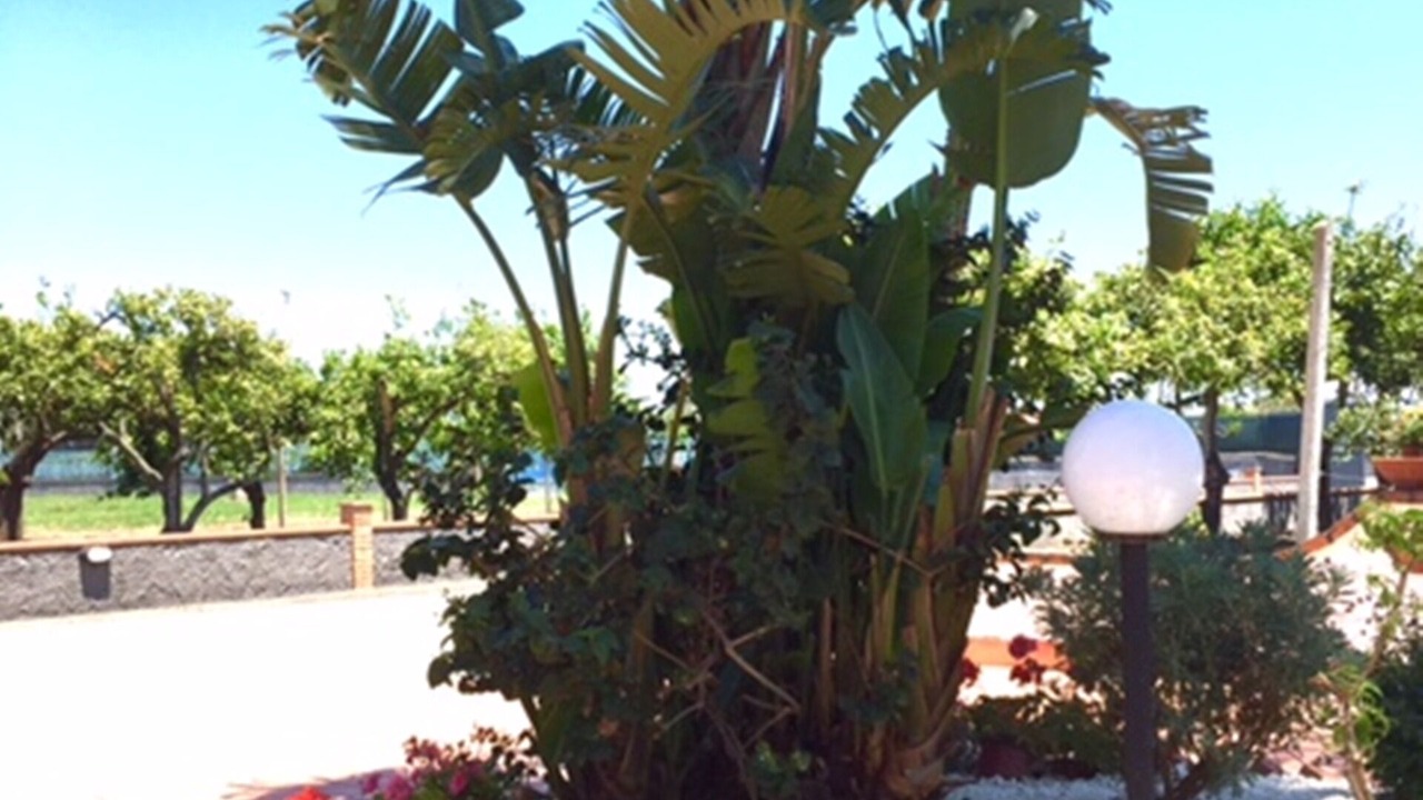 Photo of Outdoor in Torre Archirafi