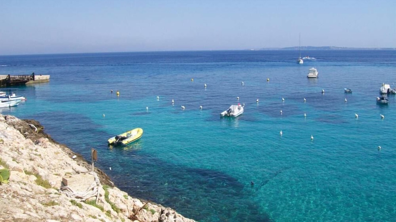 Photo of Others in Levanzo