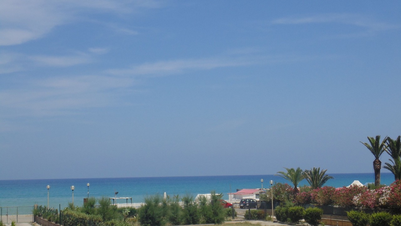 Photo of Others in Solfarelli