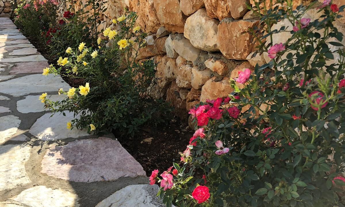 Photo of Outdoor in Castellammare del Golfo