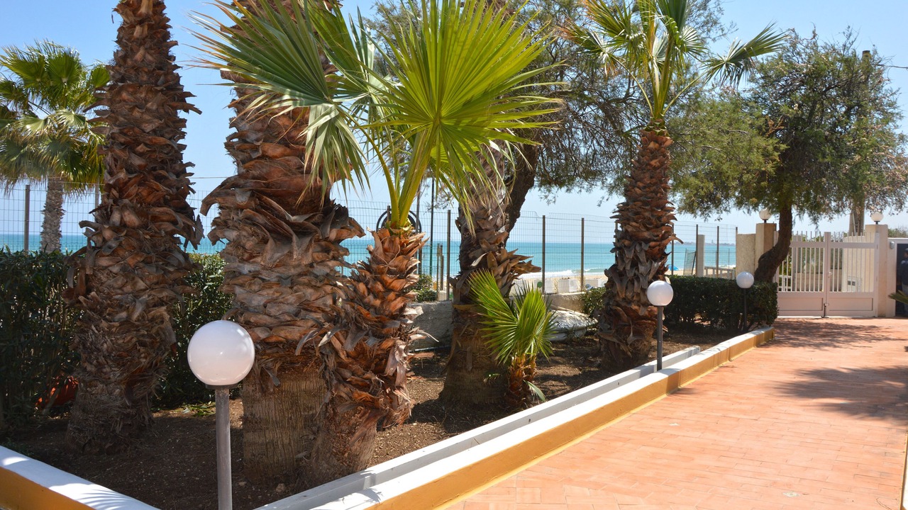 Photo of Outdoor in San Lorenzo