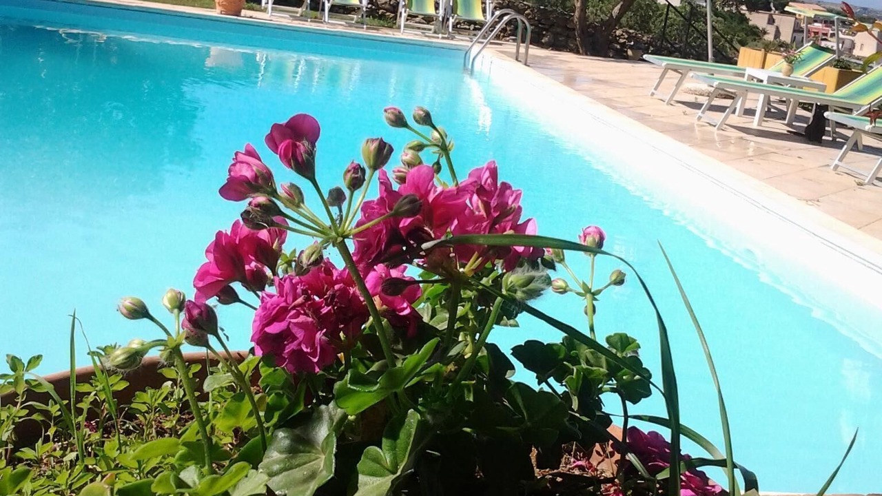 Photo of Outdoor in Marsala