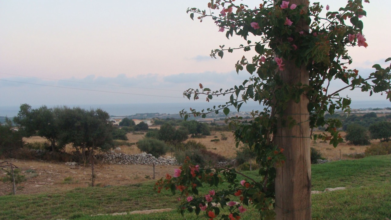 Photo of Others in Ragusa