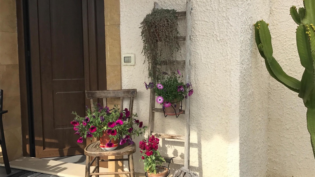 Photo of Outdoor in Noto Marina