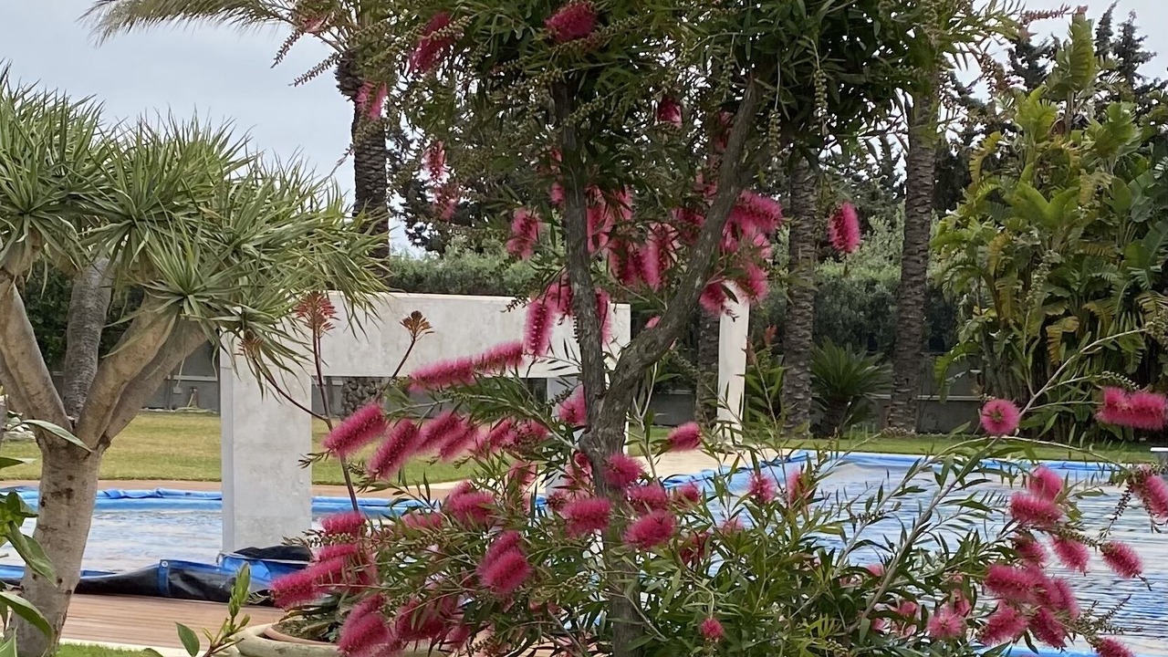 Photo of Outdoor in Butera