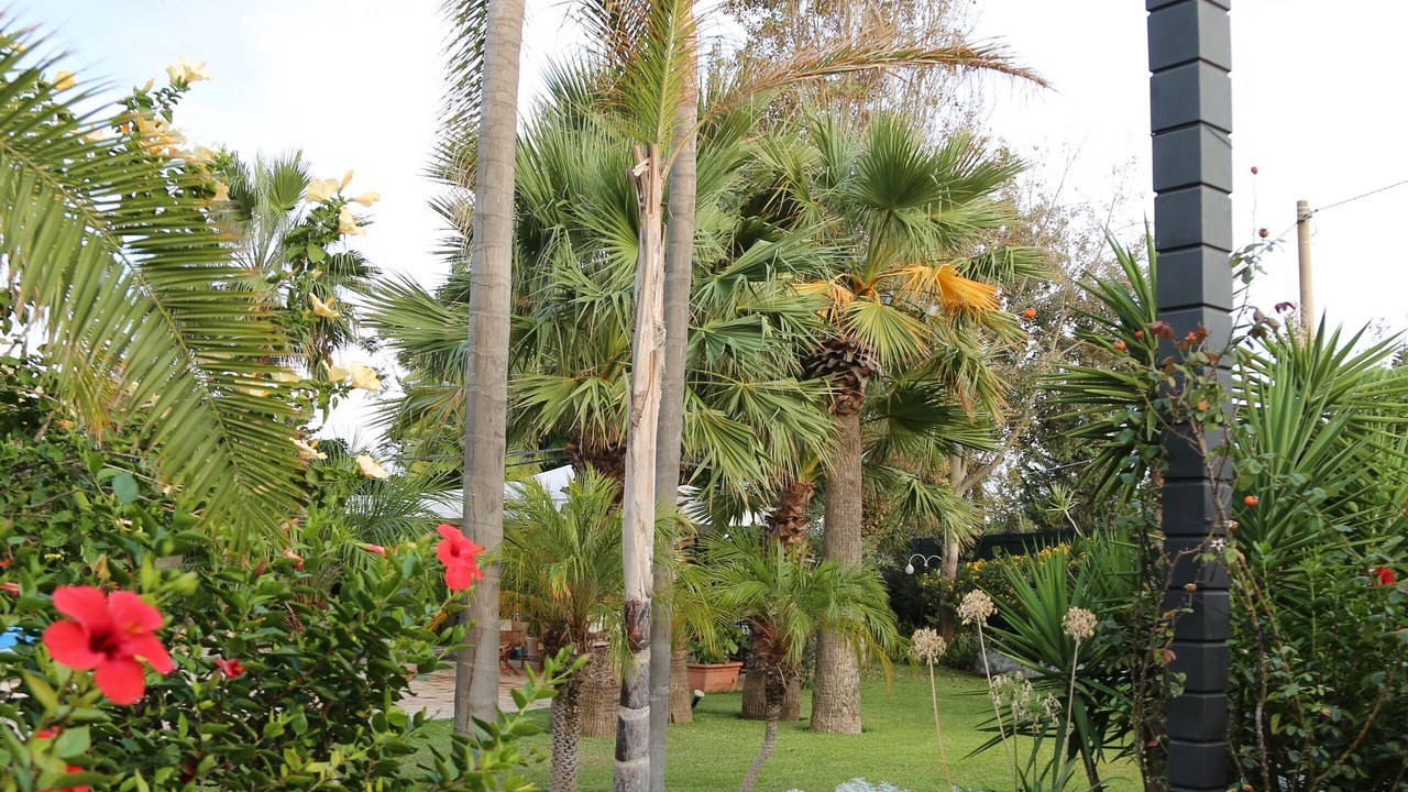 Photo of Outdoor in Butera